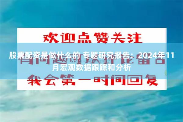 股票配资是做什么的 专题研究报告：2024年11月宏观数据跟踪和分析