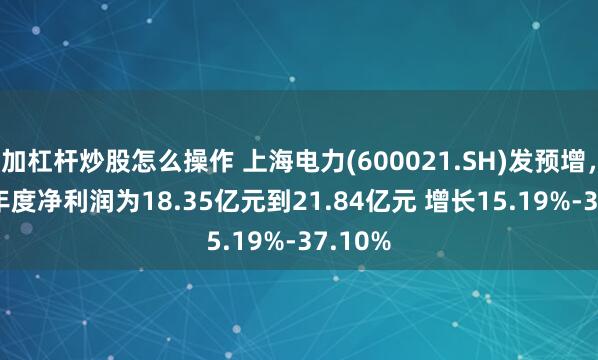 加杠杆炒股怎么操作 上海电力(600021.SH)发预增，2024年度净利润为18.35亿元到21.84亿元 增长15.19%-37.10%