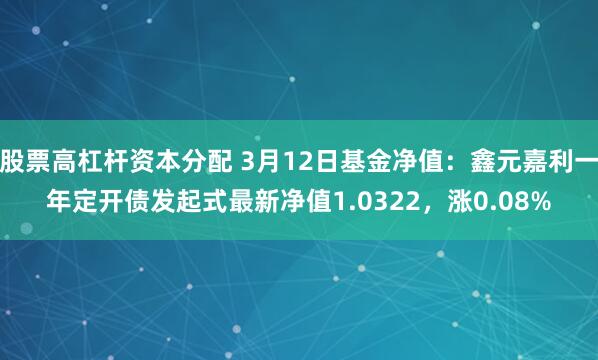 股票高杠杆资本分配 3月12日基金净值：鑫元嘉利一年定开债发起式最新净值1.0322，涨0.08%